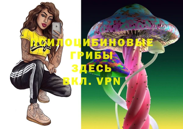 МДМА Алексеевка