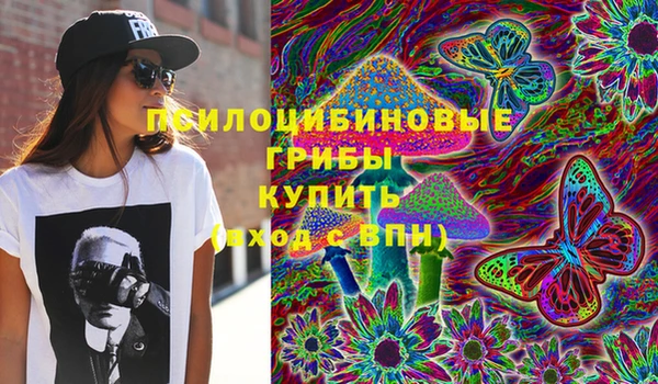apvp Алексин